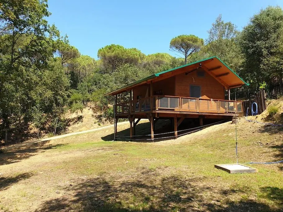 Rustic Cabin In The Woods/Cabana En El Bosque Amer Chalet